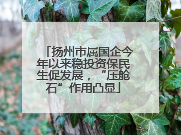 扬州市属国企今年以来稳投资保民生促发展，“压舱石”作用凸显