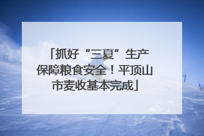 抓好“三夏”生产 保障粮食安全！平顶山市麦收基本完成