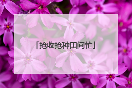 抢收抢种田间忙