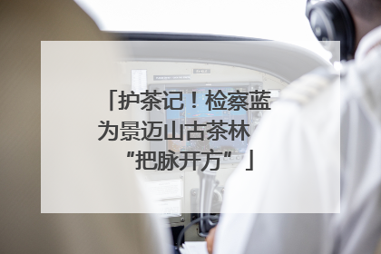 护茶记！检察蓝为景迈山古茶林 “把脉开方”