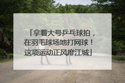 拿着大号乒乓球拍，在羽毛球场地打网球！这项运动正风靡江城