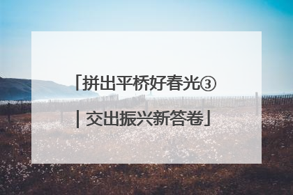拼出平桥好春光③｜交出振兴新答卷