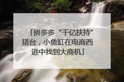 拼多多“千亿扶持”搭台，小鱼缸在电商西进中找到大商机