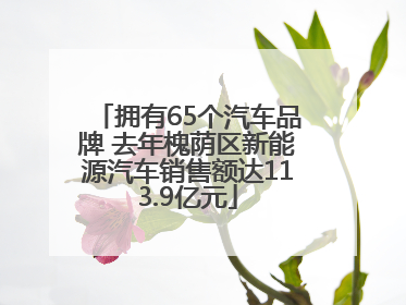 拥有65个汽车品牌 去年槐荫区新能源汽车销售额达113.9亿元