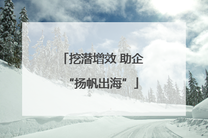 挖潜增效 助企“扬帆出海”