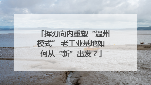 挥刃向内重塑“温州模式” 老工业基地如何从“新”出发？