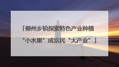 柳州乡镇探索特色产业种植 “小水果”成富民“大产业”