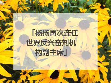 杨扬再次连任世界反兴奋剂机构副主席