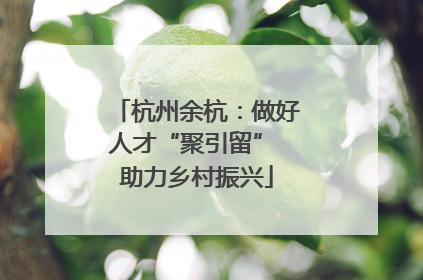 杭州余杭：做好人才“聚引留” 助力乡村振兴