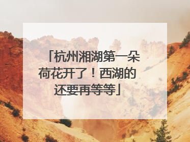 杭州湘湖第一朵荷花开了！西湖的还要再等等