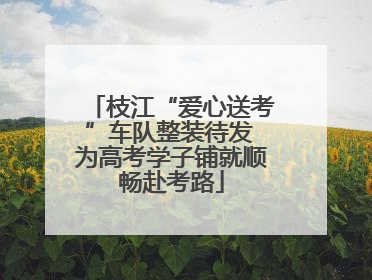 枝江“爱心送考”车队整装待发 为高考学子铺就顺畅赴考路