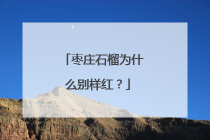 枣庄石榴为什么别样红？