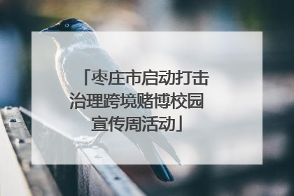 枣庄市启动打击治理跨境赌博校园宣传周活动