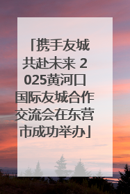 携手友城 共赴未来 2025黄河口国际友城合作交流会在东营市成功举办