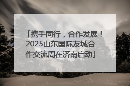 携手同行，合作发展！2025山东国际友城合作交流周在济南启动