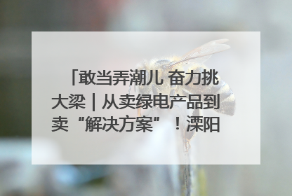 敢当弄潮儿 奋力挑大梁｜从卖绿电产品到卖“解决方案”！溧阳立足产业优势建成五大微电网示范项目
