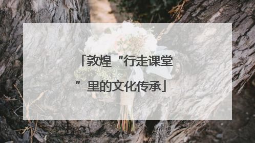 敦煌“行走课堂”里的文化传承
