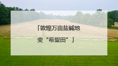敦煌万亩盐碱地变“希望田”