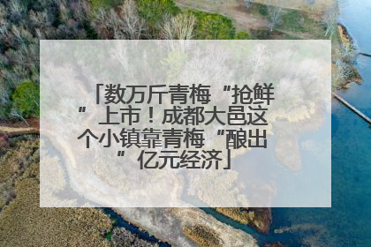 数万斤青梅“抢鲜”上市！成都大邑这个小镇靠青梅“酿出”亿元经济
