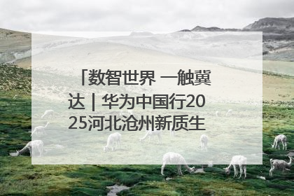 数智世界 一触冀达｜华为中国行2025河北沧州新质生产力峰会成功举办