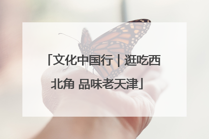 文化中国行｜逛吃西北角 品味老天津