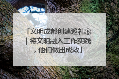 文明成都创建巡礼⑥｜将文明融入工作实践，他们做出成效
