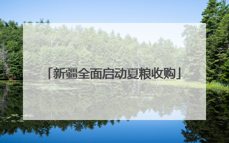 新疆全面启动夏粮收购