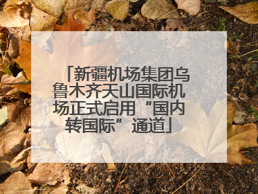 新疆机场集团乌鲁木齐天山国际机场正式启用“国内转国际”通道