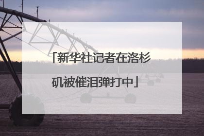新华社记者在洛杉矶被催泪弹打中