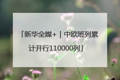 新华全媒+｜中欧班列累计开行110000列