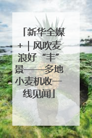 新华全媒+｜风吹麦浪好“丰”景——多地小麦机收一线见闻