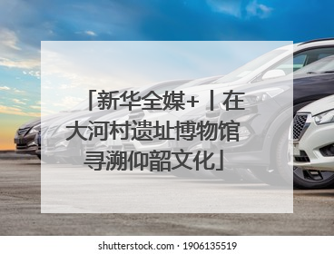 新华全媒+丨在大河村遗址博物馆寻溯仰韶文化