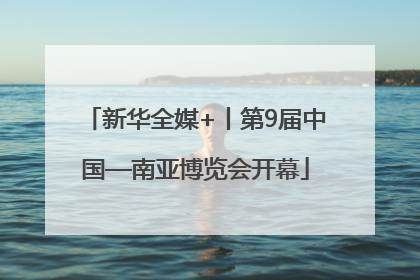 新华全媒+丨第9届中国—南亚博览会开幕