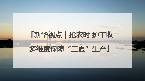 新华视点｜抢农时 护丰收 多维度保障“三夏”生产
