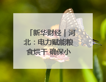 新华财经｜河北：电力赋能粮食烘干 确保小麦高质量归仓