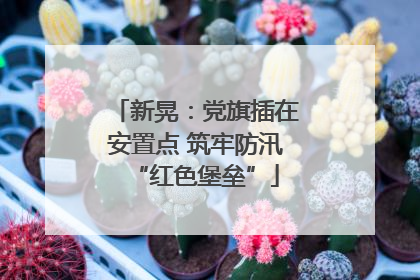 新晃：党旗插在安置点 筑牢防汛“红色堡垒”