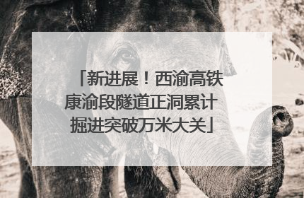 新进展！西渝高铁康渝段隧道正洞累计掘进突破万米大关