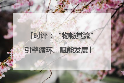 时评：“物畅其流”引擎循环、赋能发展