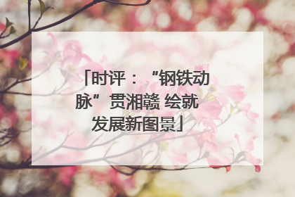 时评：“钢铁动脉”贯湘赣 绘就发展新图景