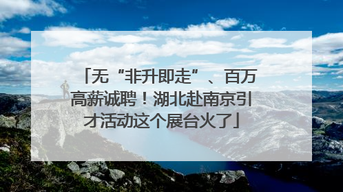 无“非升即走”、百万高薪诚聘！湖北赴南京引才活动这个展台火了