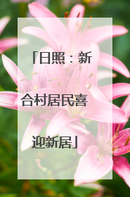 日照：新合村居民喜迎新居