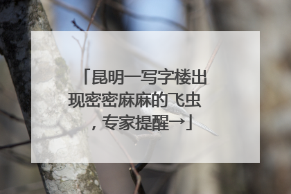 昆明一写字楼出现密密麻麻的飞虫，专家提醒→