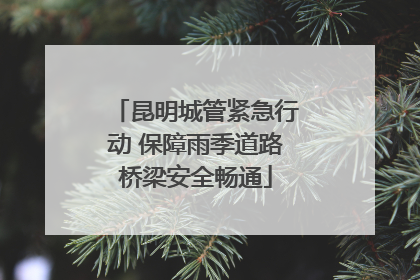 昆明城管紧急行动 保障雨季道路桥梁安全畅通