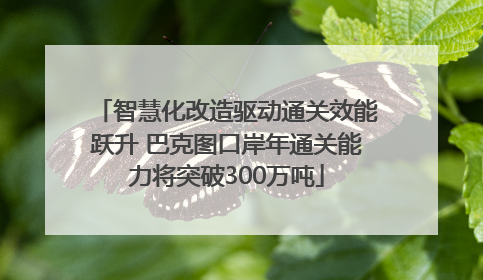 智慧化改造驱动通关效能跃升 巴克图口岸年通关能力将突破300万吨