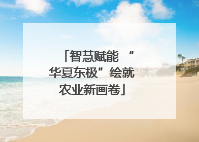 智慧赋能 “华夏东极”绘就农业新画卷
