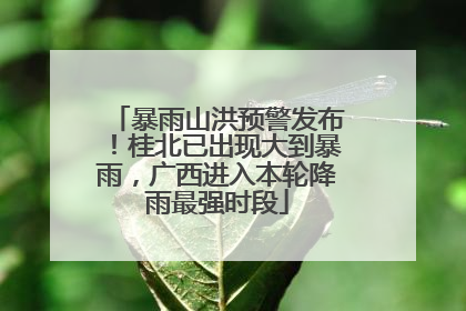 暴雨山洪预警发布！桂北已出现大到暴雨，广西进入本轮降雨最强时段