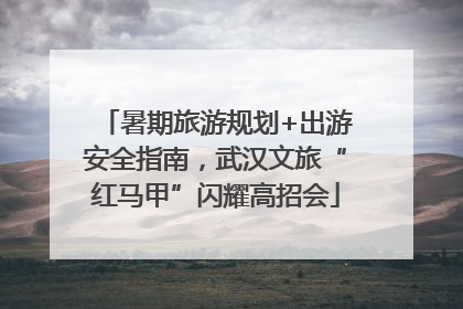 暑期旅游规划+出游安全指南，武汉文旅“红马甲”闪耀高招会