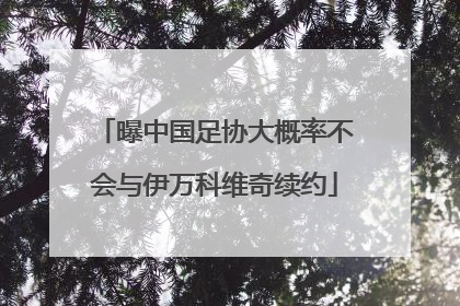 曝中国足协大概率不会与伊万科维奇续约