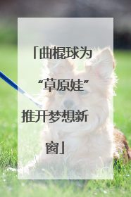 曲棍球为“草原娃”推开梦想新窗
