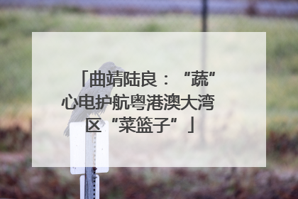 曲靖陆良：“蔬”心电护航粤港澳大湾区“菜篮子”